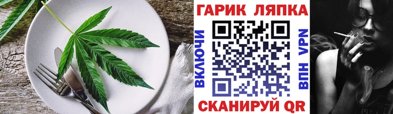 Canna-Cookies конопля  как найти   Можга 