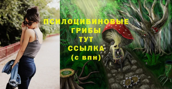 apvp Алзамай