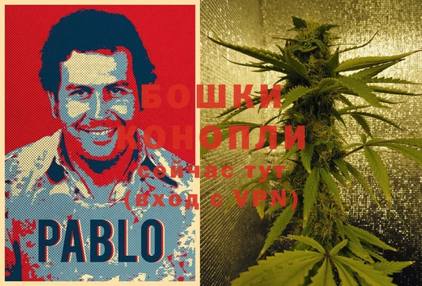 PSILOCYBIN Россошь